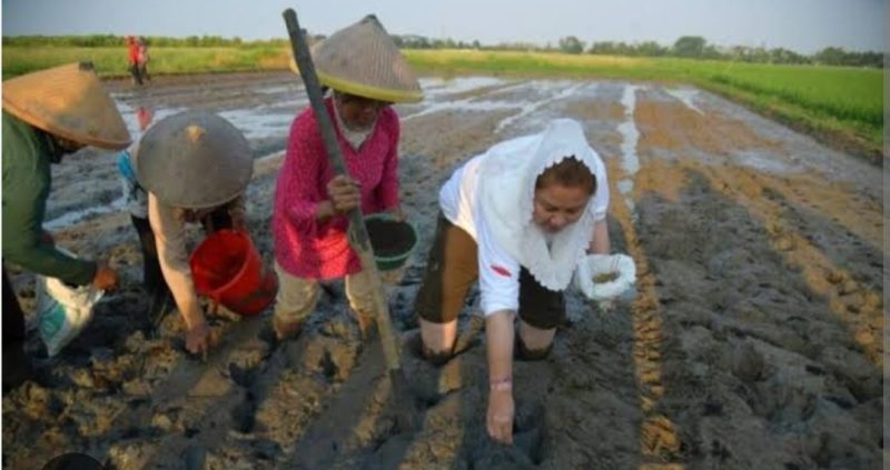 WaliKota Semarang, Hevearita Gunaryanti Rahayu.