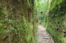 Wisata Rintisan Lorong Lumut yang terletak di Resort Pemangkuan Hutan (RPH) Lembang,