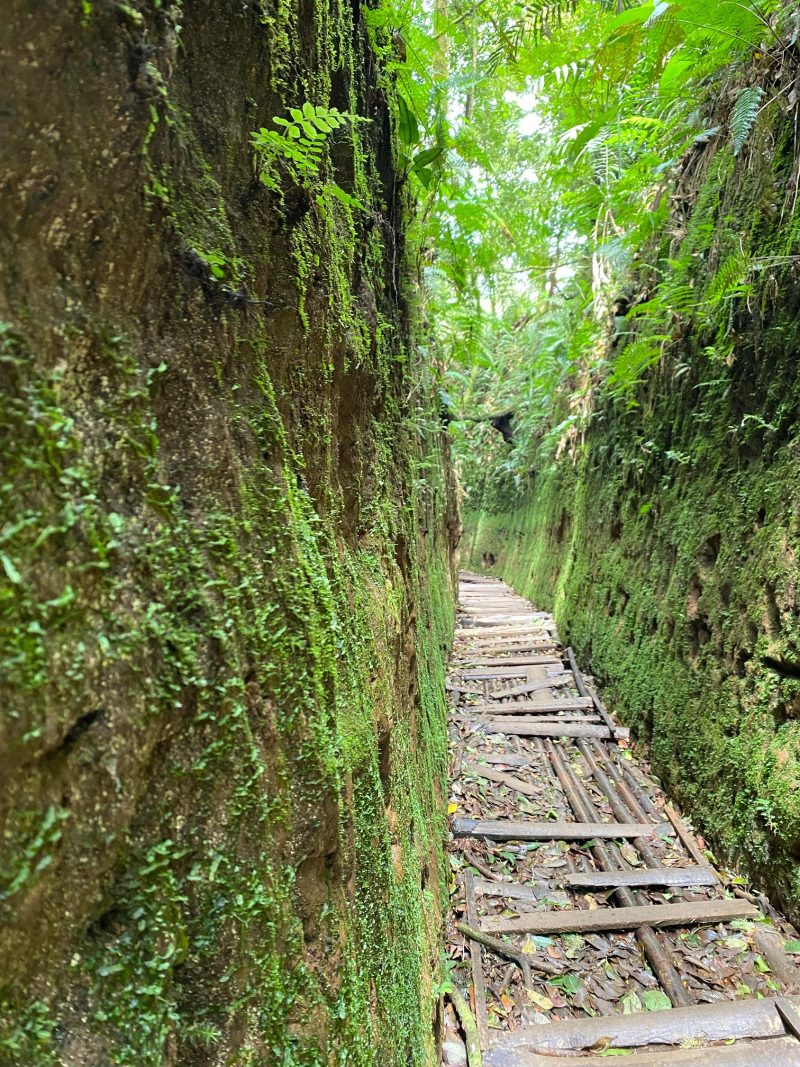 Wisata Rintisan Lorong Lumut yang terletak di Resort Pemangkuan Hutan (RPH) Lembang,