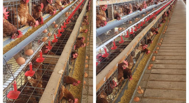 foto slider headline